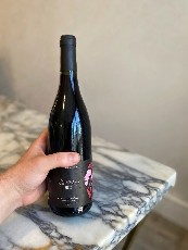 avis Teddy Gilbertas